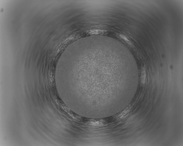 X0000057080569200509161607