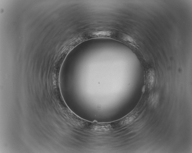 X0000057080571200509161607