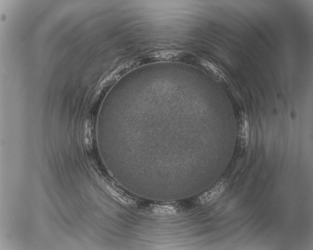 X0000057080572200509161607