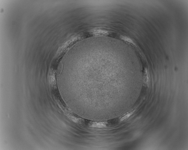 X0000057080573200509161607