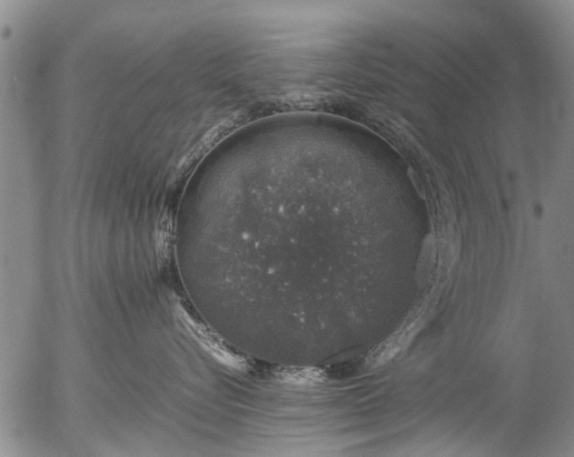 X0000057080576200509161607