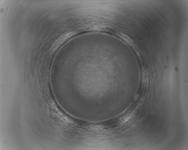 X0000057080577200509161606