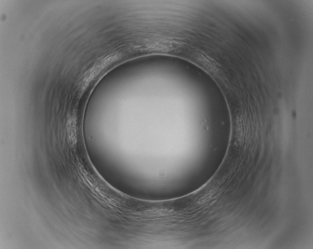 X0000057080578200509161606