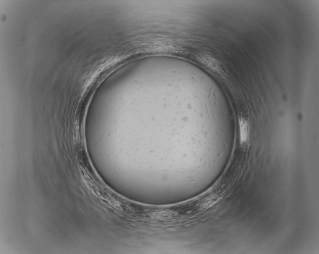 X0000057080579200509161606