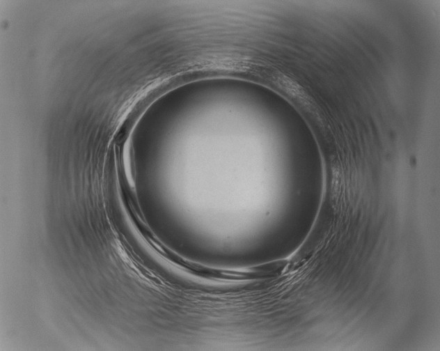 X0000057080580200509161606