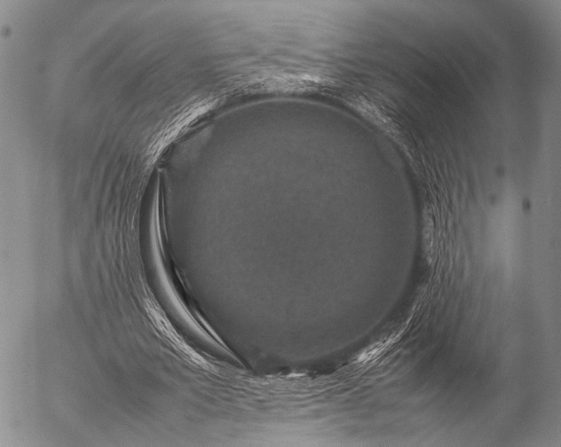 X0000057080581200509161606