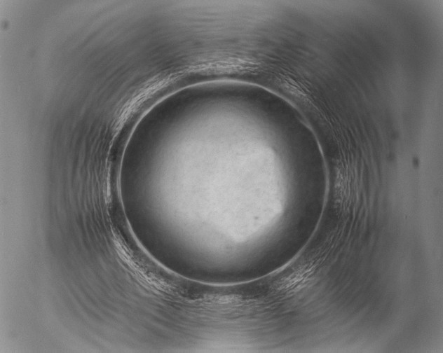 X0000057080582200509161606