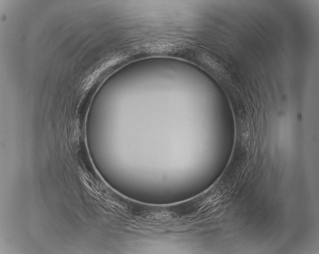 X0000057080583200509161606