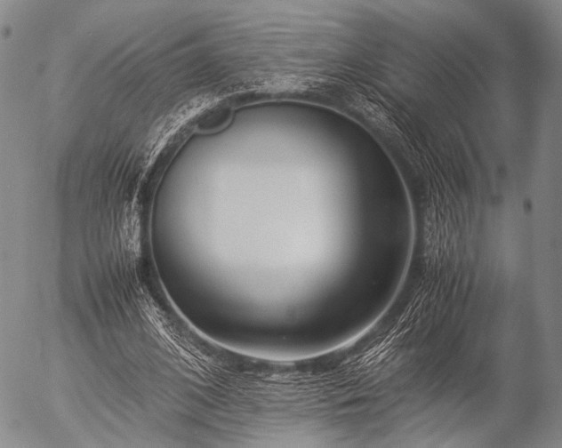 X0000057080584200509161606