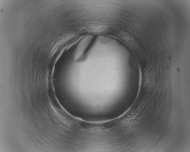 X0000057080586200509161606