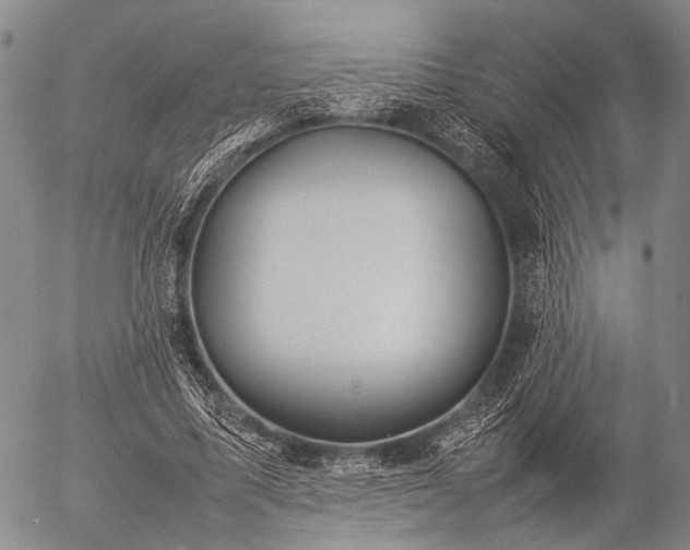 X0000057080587200509161606