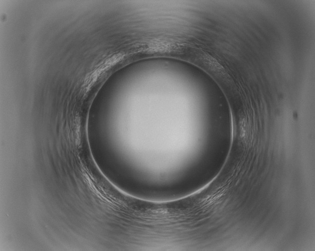 X0000057080588200509161606