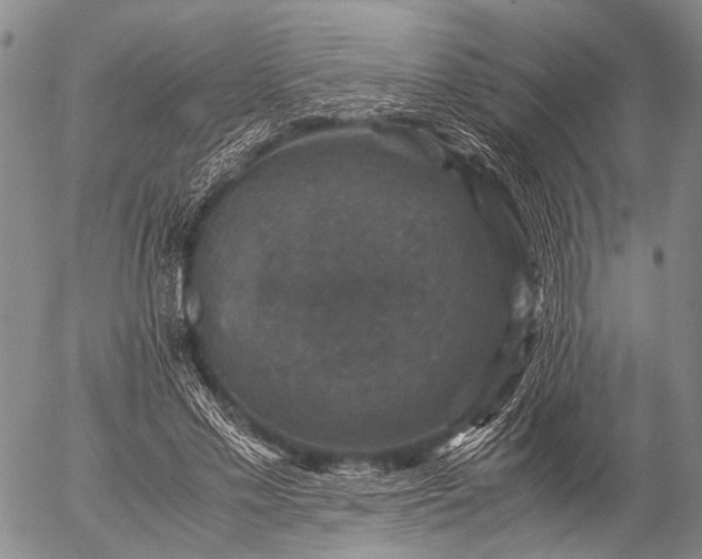 X0000057080589200509161606