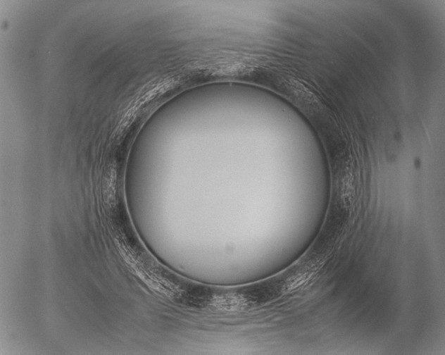 X0000057080591200509161606