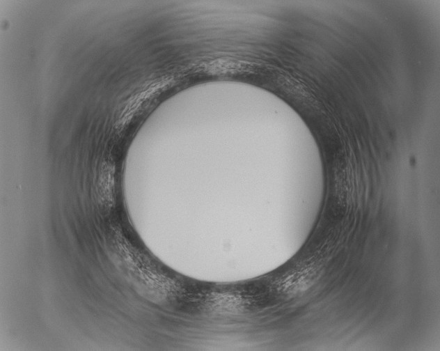 X0000057080592200509161606