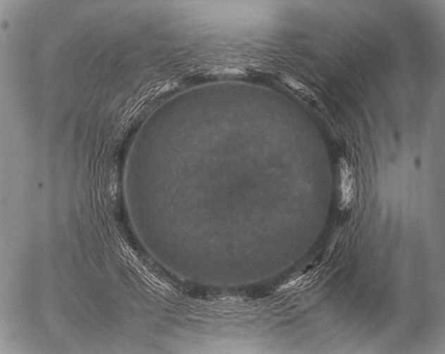 X0000057080593200509161606