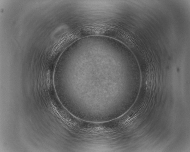 X0000057080594200509161606