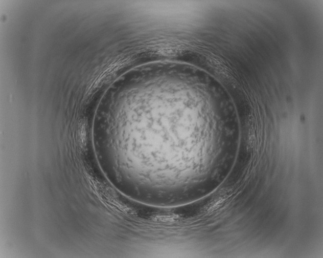 X0000057080595200509161606