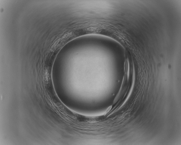 X0000057080597200509161606