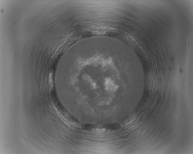 X0000057080598200509161606