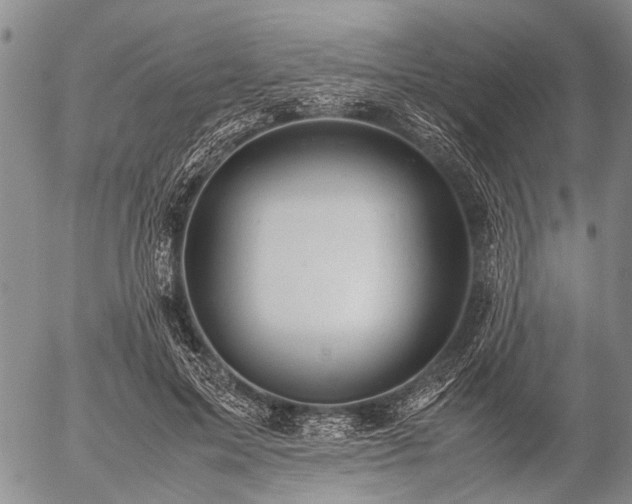 X0000057080599200509161606