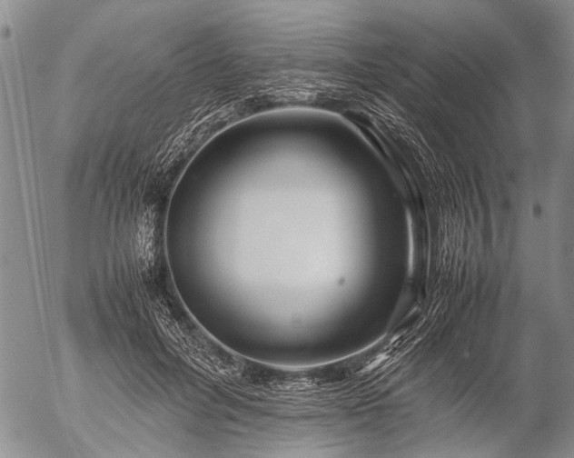 X0000057080600200509161606