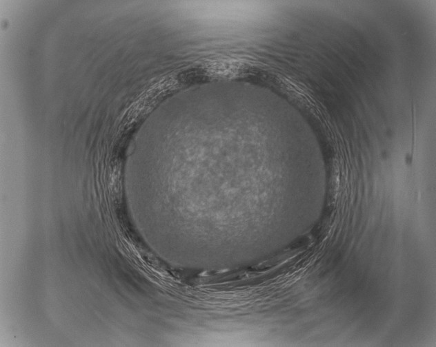 X0000057080601200509161606