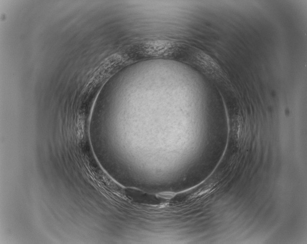 X0000057080602200509161606