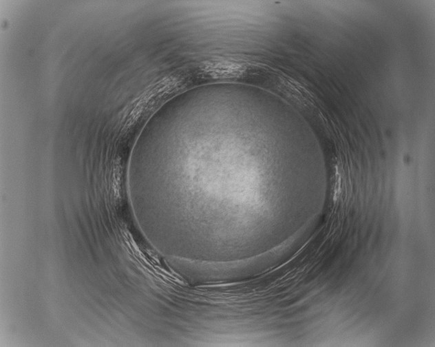 X0000057080604200509161606