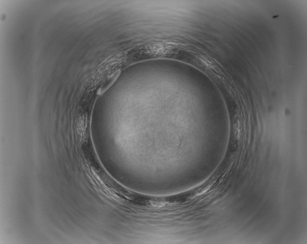 X0000057080605200509161606