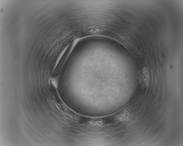 X0000057080606200509161606