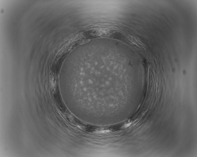 X0000057080607200509161606