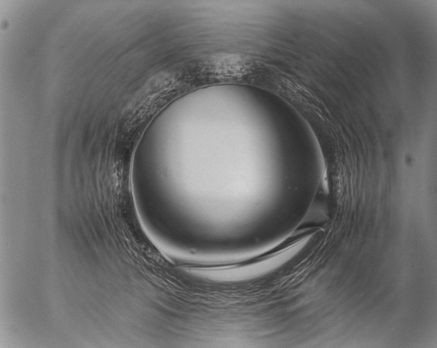 X0000057080608200509161606