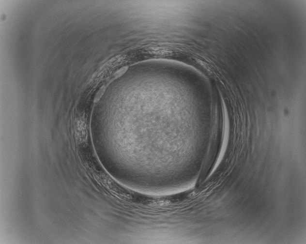 X0000057080609200509161606