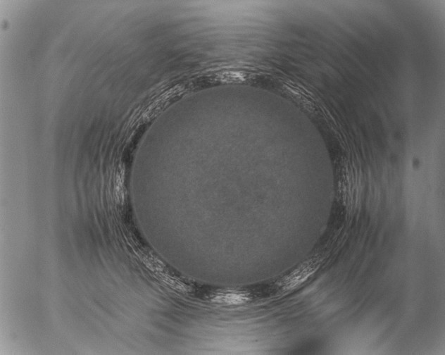 X0000057080610200509161606