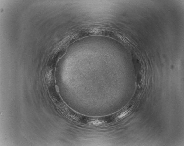 X0000057080611200509161606