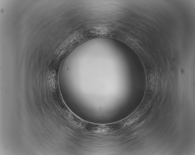 X0000057080612200509161606