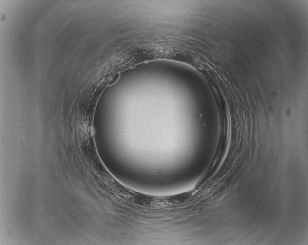 X0000057080613200509161606