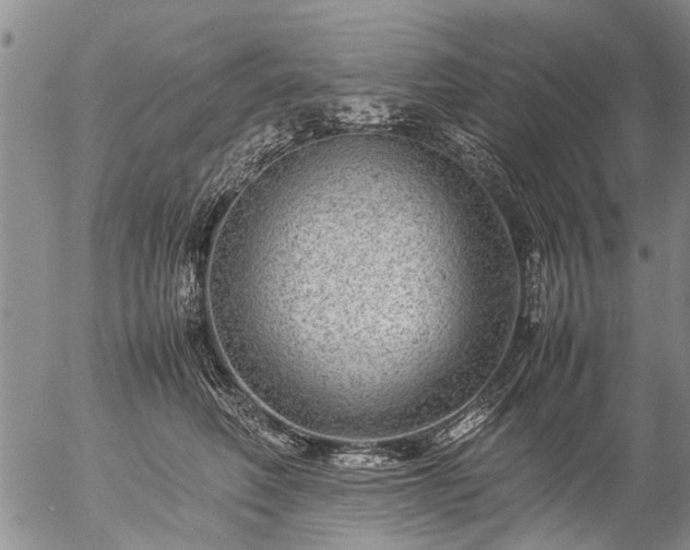 X0000057080614200509161606