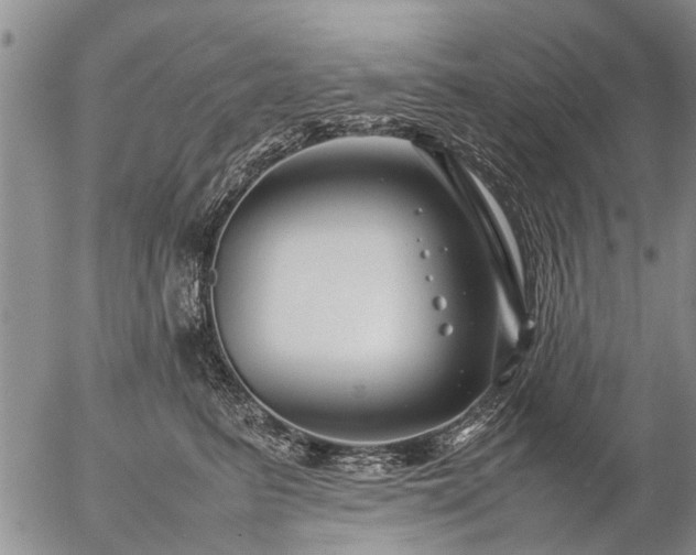 X0000057080615200509161606