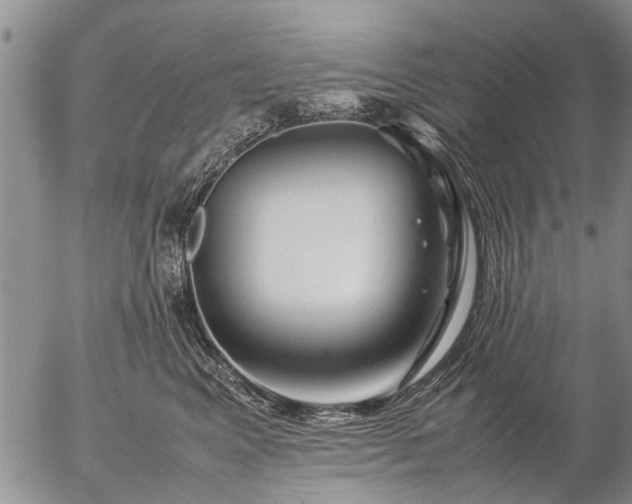 X0000057080617200509161606