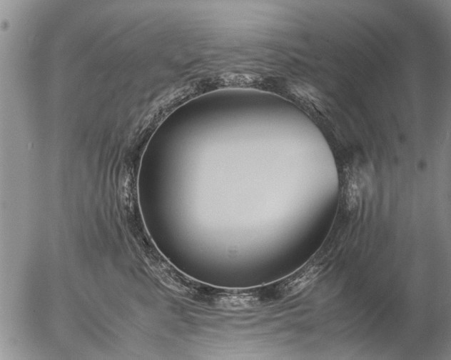 X0000057080619200509161606