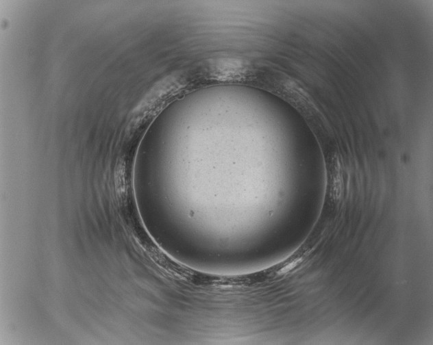 X0000057080620200509161606