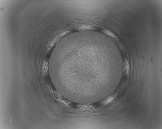 X0000057080621200509161605