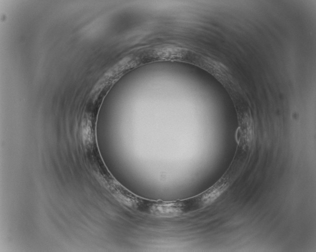 X0000057080622200509161605