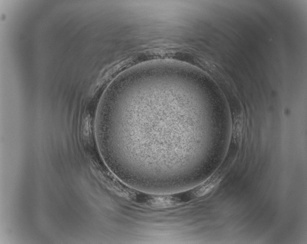 X0000057080623200509161605