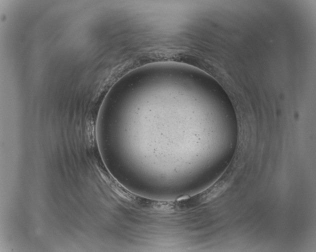 X0000057080624200509161605