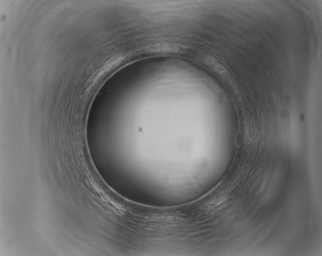 X0000057080625200509161605