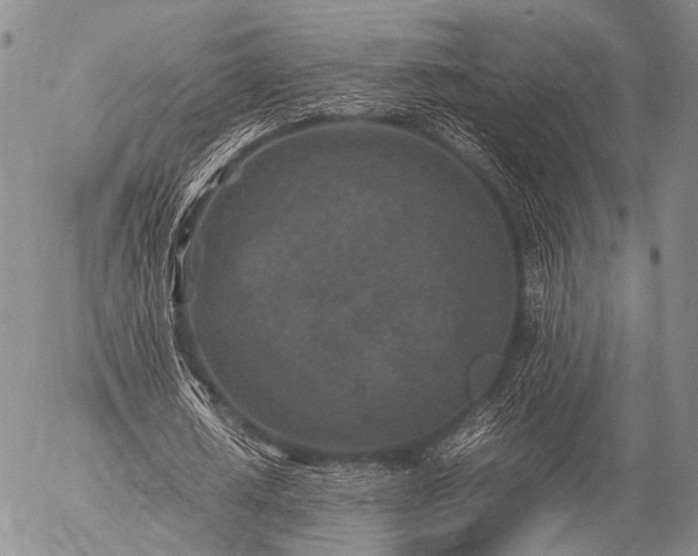 X0000057080626200509161605