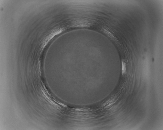 X0000057080627200509161605